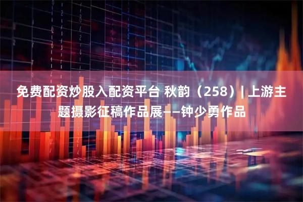 免费配资炒股入配资平台 秋韵（258）| 上游主题摄影征稿作品展——钟少勇作品
