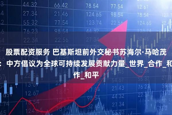 股票配资服务 巴基斯坦前外交秘书苏海尔·马哈茂德：中方倡议为全球可持续发展贡献力量_世界_合作_和平