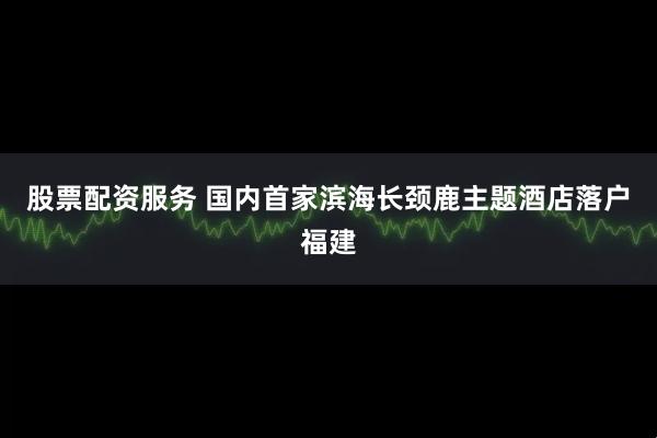 股票配资服务 国内首家滨海长颈鹿主题酒店落户福建